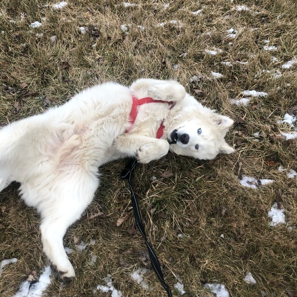 Meet your Posher, Brooke - Picture 8 of 11